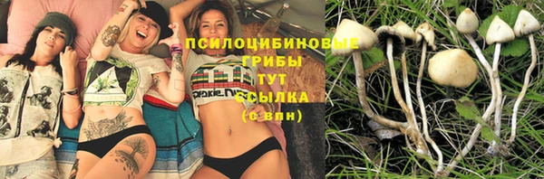 МДМА Горняк