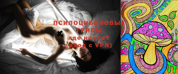 гашик Горно-Алтайск