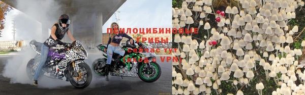 гашик Горно-Алтайск