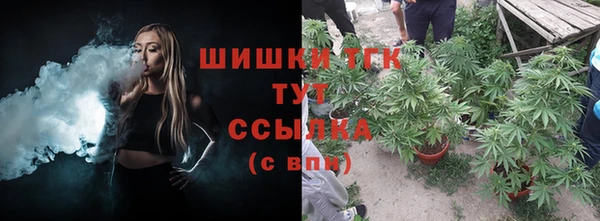 гашик Горно-Алтайск