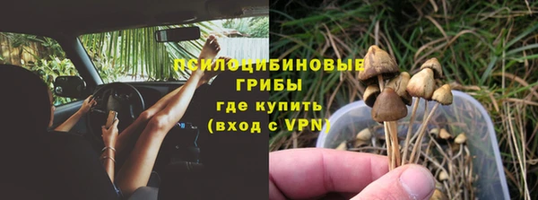 гашик Горно-Алтайск