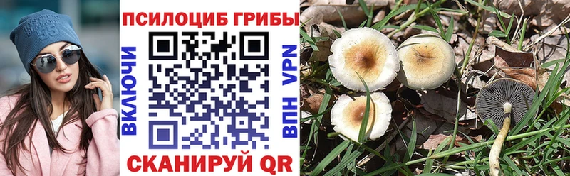 Галлюциногенные грибы мицелий  Кисловодск 